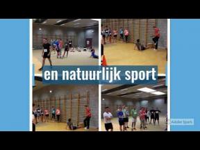 Preview image for the video "Mave_School".